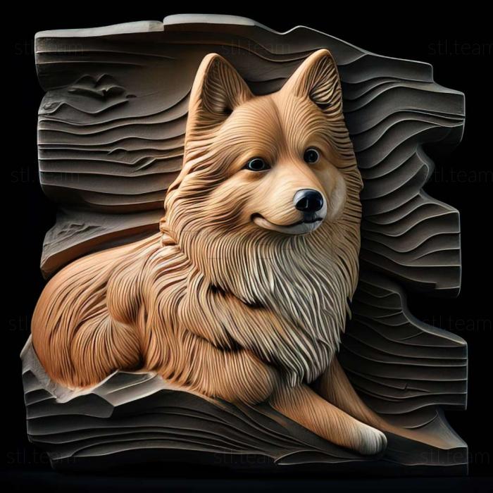 3D model Finnish Lapphund dog (STL)